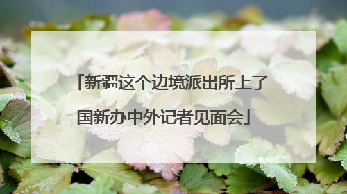 新疆这个边境派出所上了国新办中外记者见面会