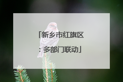 新乡市红旗区：多部门联动