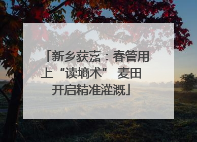 新乡获嘉：春管用上“读墒术” 麦田开启精准灌溉