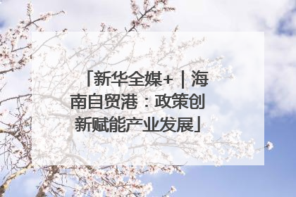 新华全媒+｜海南自贸港：政策创新赋能产业发展