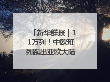 新华鲜报｜11万列！中欧班列跑出亚欧大陆“新时速”