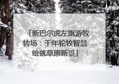 新巴尔虎左旗游牧转场：千年轮牧智慧绘就草原新景
