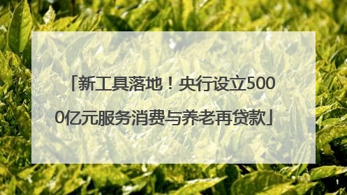 新工具落地！央行设立5000亿元服务消费与养老再贷款