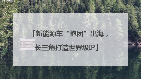 新能源车“抱团”出海，长三角打造世界级IP