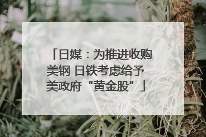 日媒：为推进收购美钢 日铁考虑给予美政府“黄金股”