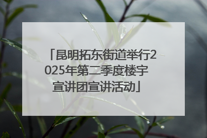 昆明拓东街道举行2025年第二季度楼宇宣讲团宣讲活动