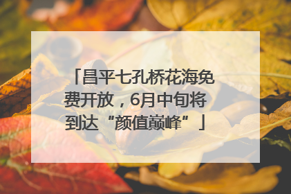昌平七孔桥花海免费开放，6月中旬将到达“颜值巅峰”