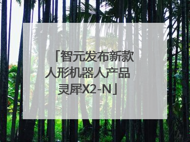 智元发布新款人形机器人产品灵犀X2-N