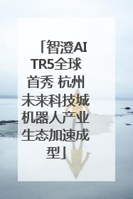 智澄AITR5全球首秀 杭州未来科技城机器人产业生态加速成型