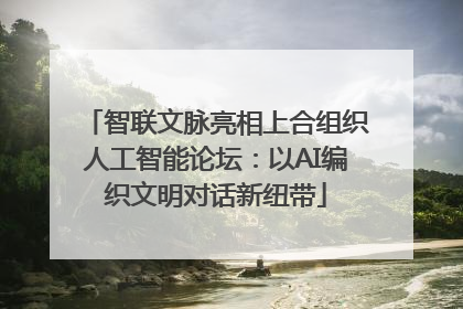 智联文脉亮相上合组织人工智能论坛：以AI编织文明对话新纽带