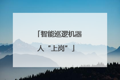 智能巡逻机器人“上岗”