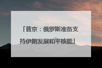 普京：俄罗斯准备支持伊朗发展和平核能