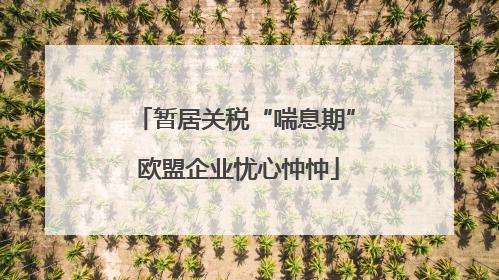 暂居关税“喘息期” 欧盟企业忧心忡忡