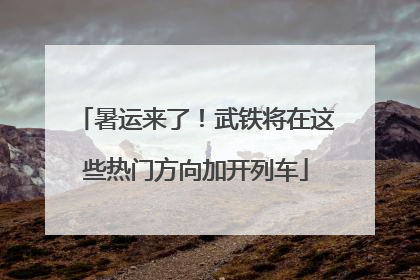 暑运来了！武铁将在这些热门方向加开列车