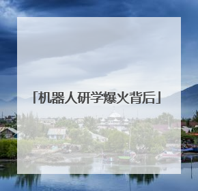 机器人研学爆火背后