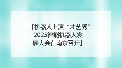 机器人上演“才艺秀” 2025智能机器人发展大会在南京召开