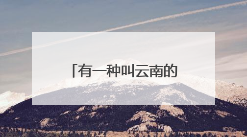 有一种叫云南的生活·旅居云南｜菌有信 人赴约