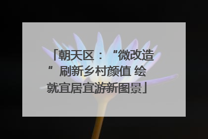 朝天区：“微改造”刷新乡村颜值 绘就宜居宜游新图景