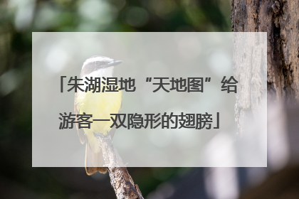 朱湖湿地“天地图”给游客一双隐形的翅膀