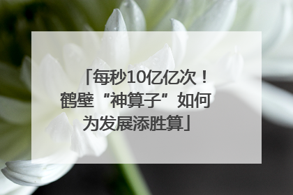 每秒10亿亿次！鹤壁“神算子”如何为发展添胜算
