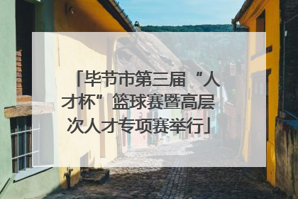 毕节市第三届“人才杯”篮球赛暨高层次人才专项赛举行