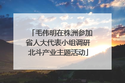 毛伟明在株洲参加省人大代表小组调研北斗产业主题活动