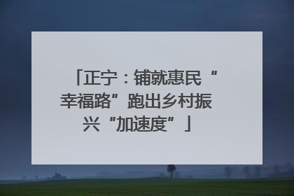 正宁：铺就惠民“幸福路”跑出乡村振兴“加速度”