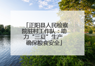 正阳县人民检察院驻村工作队：助力“三夏”生产 确保粮食安全