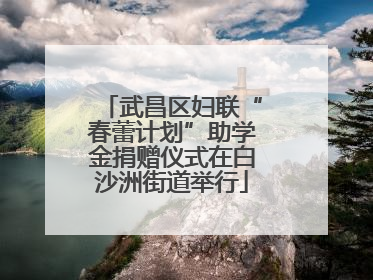 武昌区妇联“春蕾计划”助学金捐赠仪式在白沙洲街道举行