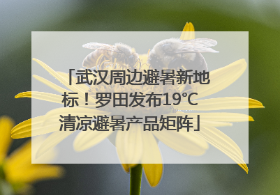 武汉周边避暑新地标！罗田发布19℃清凉避暑产品矩阵
