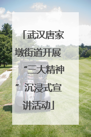 武汉唐家墩街道开展“三大精神”沉浸式宣讲活动