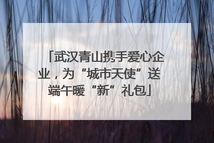 武汉青山携手爱心企业，为“城市天使”送端午暖“新”礼包