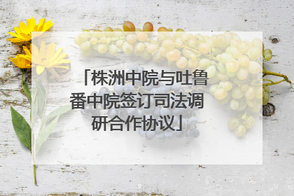 株洲中院与吐鲁番中院签订司法调研合作协议