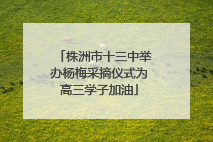 株洲市十三中举办杨梅采摘仪式为高三学子加油