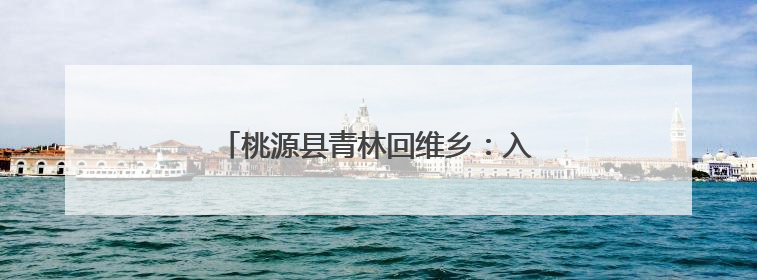 桃源县青林回维乡：入户查实情 监督保公平