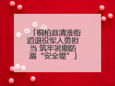 桐柏县清淮街道退役军人勇担当 筑牢暑期防溺“安全堤”