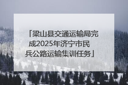 梁山县交通运输局完成2025年济宁市民兵公路运输集训任务