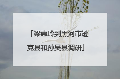 梁惠玲到黑河市逊克县和孙吴县调研