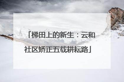梯田上的新生：云和社区矫正五载耕耘路