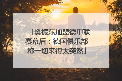 樊振东加盟德甲联赛幕后：德国俱乐部称一切来得太突然