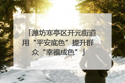 潍坊寒亭区开元街道用“平安底色”提升群众“幸福成色”