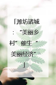 潍坊诸城：“美丽乡村”催生“美丽经济”