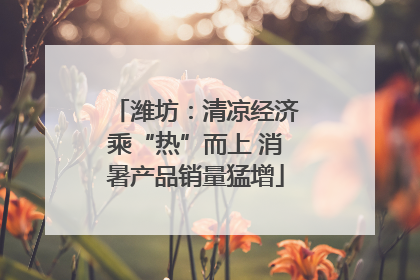 潍坊：清凉经济乘“热”而上 消暑产品销量猛增
