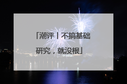 潮评丨不搞基础研究，就没根