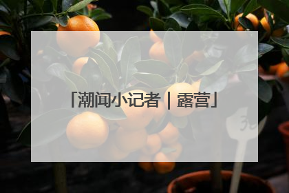 潮闻小记者｜露营