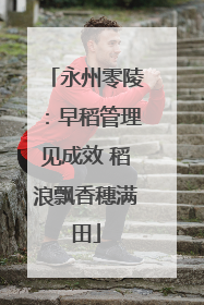 永州零陵：早稻管理见成效 稻浪飘香穗满田