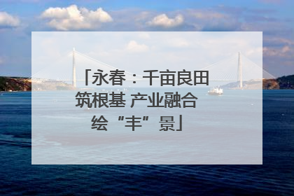 永春：千亩良田筑根基 产业融合绘“丰”景