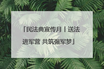 民法典宣传月丨送法进军营 共筑强军梦