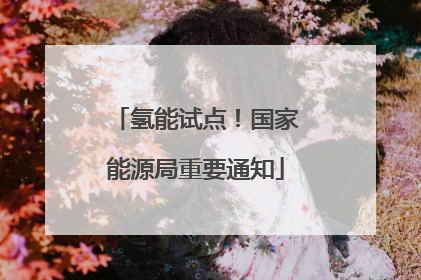 氢能试点！国家能源局重要通知