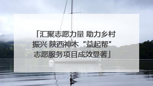 汇聚志愿力量 助力乡村振兴 陕西神木“益起帮”志愿服务项目成效显著